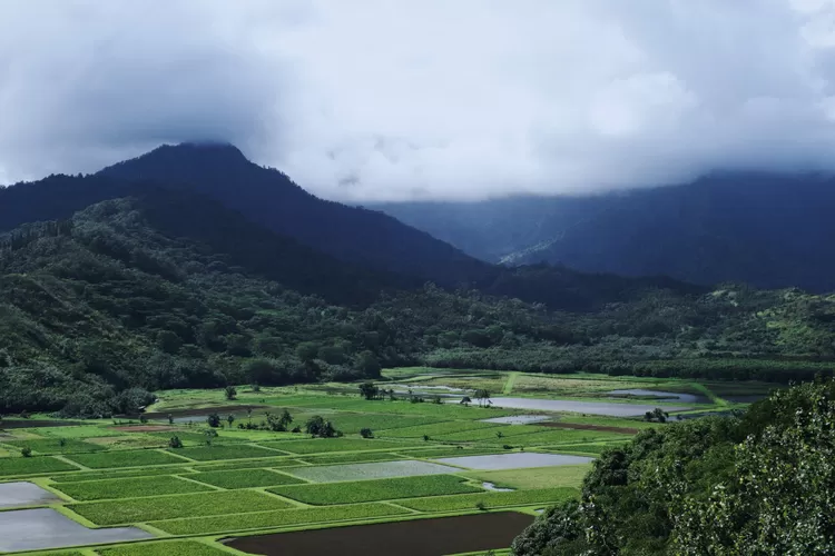 5 Daerah Terdingin Di Sumatera Barat, Jangan Heran Kalau Juaranya Bukan ...