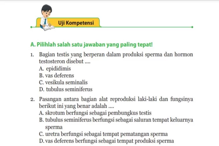 Kunci Jawaban Ipa Kelas Halaman Soal Dan Jawaban Bab Sistem Reproduksi Pada Manusia