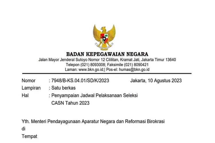 Ini Daftar Jadwal Pelaksanaan Seleksi CPNS 2023 Dari BKN Dan Syarat ...