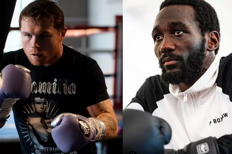 Soal Duel Lawan Terence Crawford, Begini Kata Canelo Alvarez - Sporta News