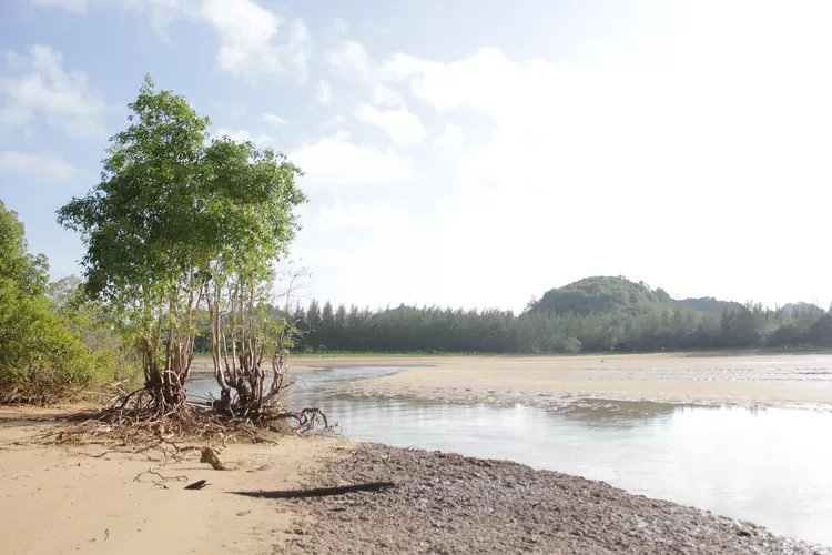 Gak Nyangka! Inilah 4 Kabupaten Terluas Di Pulau Jawa, No 1 Melebihi ...