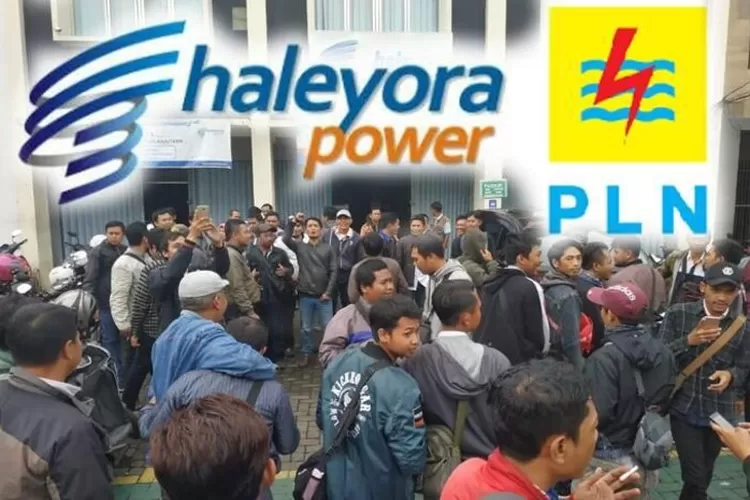 Cocok Buat Lulusan SMA SMK Sederajat! BUMN PT Haleyora Powerindo Buka ...