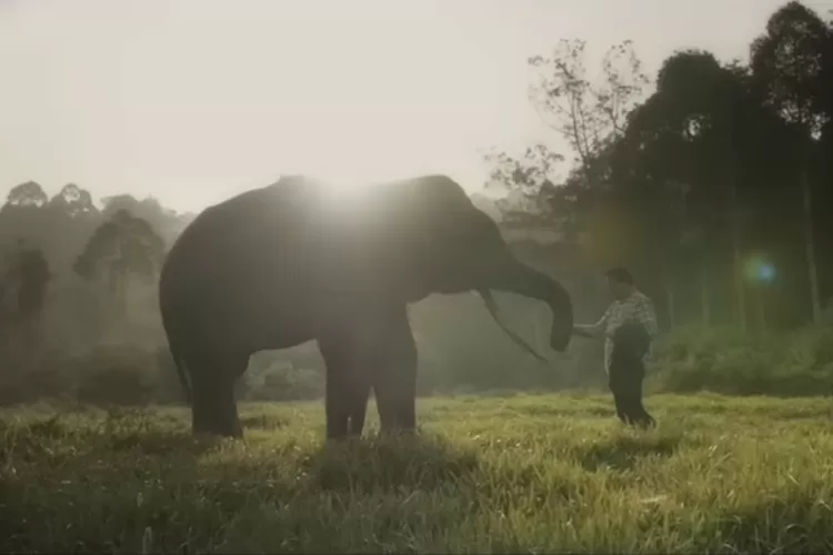 Lirik Lagu 'Gajah' oleh Tulus, Cocok Menemani Momen Hari Gajah Sedunia ...