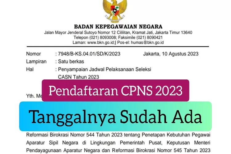 BKN Keluarkan Jadwal Pendaftaran CPNS 2023, Berikut Data Yang Wajib ...