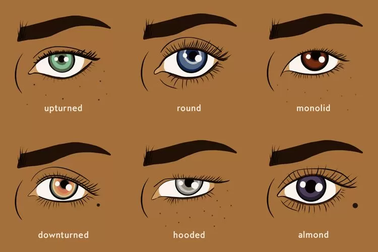 How To Describe Sharp Eyes