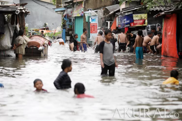 Diguyur Hujan Deras, 3 RT Di Jakarta Masih Terendam Banjir - Akurat Jakarta