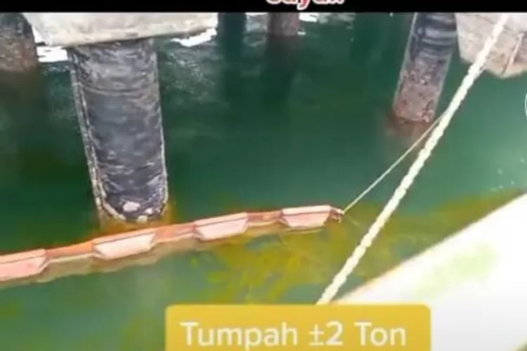 Viral Minyak Goreng Ton Tumpah Ke Laut Bikin Makin Langka Akurat