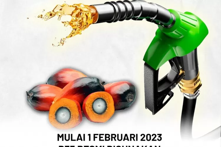 Mengenal Biodiesel B35, Jenis BBM Campuran Minyak Sawit - Akurat