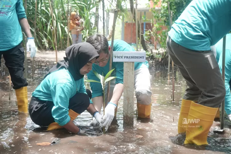 IWIP Dan Masyarakat Berkolaborasi Lindungi Kawasan Pesisir - Akurat