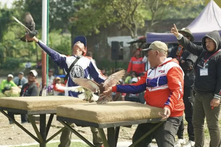 Ganjar Muda Padjajaran Gelar Lomba Burung Merpati Di Bandung Akurat