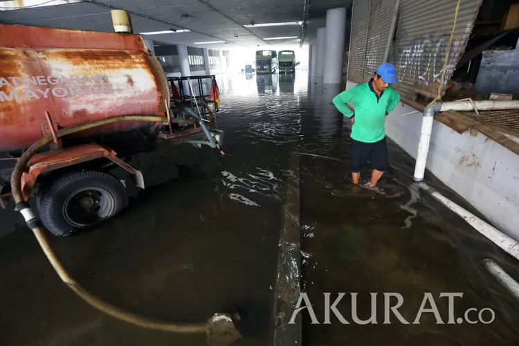 BPBD Bojonegoro Mulai Waspadai Ancaman Banjir Luapan Bengawan Solo - Akurat