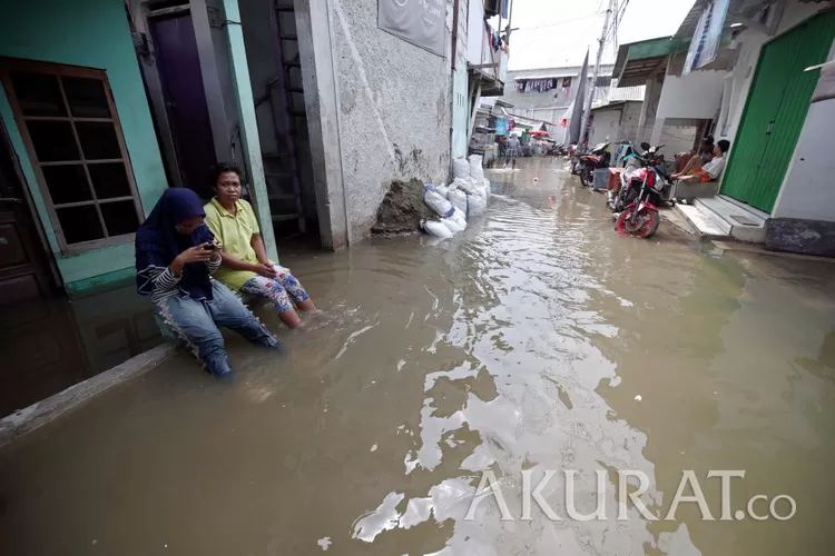 Ciliwung Meluap, 34 RT Di Jakarta Terendam Banjir - Akurat