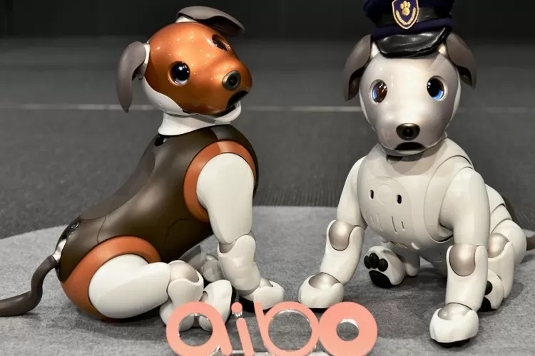 robot anjing aibo