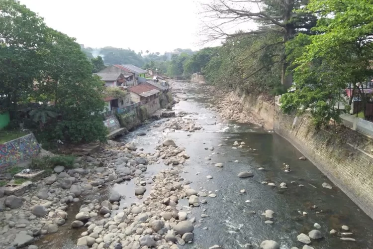 DAS Ciliwung. (Husnul Khatimah/Ayobogor.com)