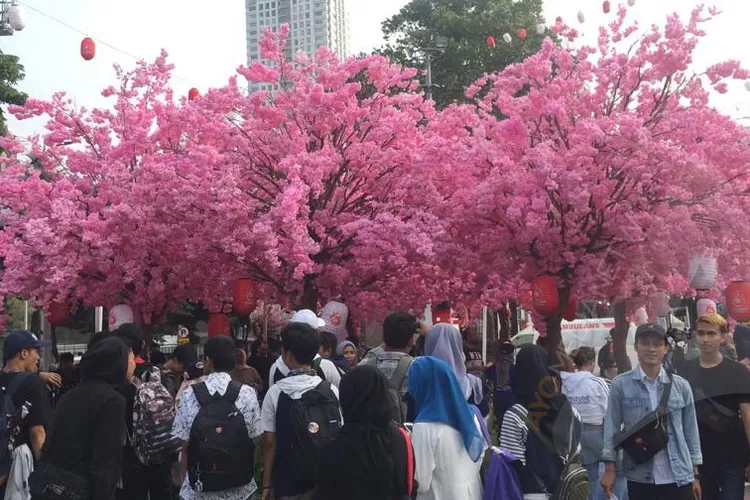 Ayo Ke Jak-Japan Matsuri 2019, Begini Keseruannya - Ayo Jakarta