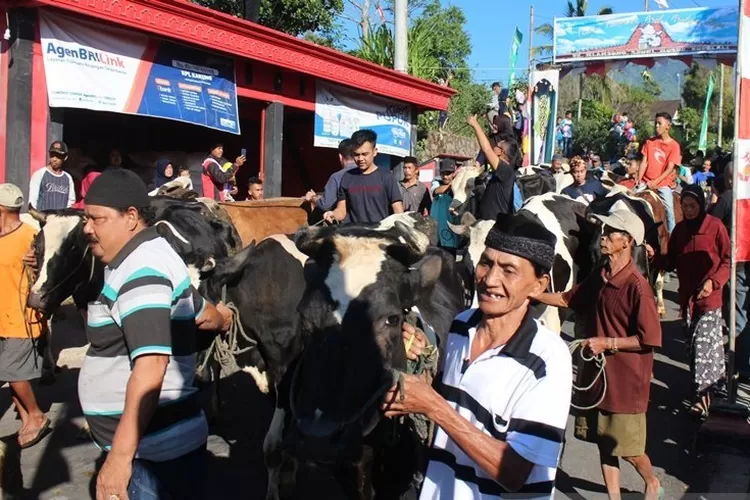Ratusan ekor ternak sapi diarak keliling kampung ikuti upacara tradisi Syawalan atau Lebaran Ketupat di Dukuh Mlambong Desa Sruni Kecamatan Musuk Kebupaten Boyolali, Jawa Tengah, Rabu (Foto:Bambang Dwi Marwoto)
