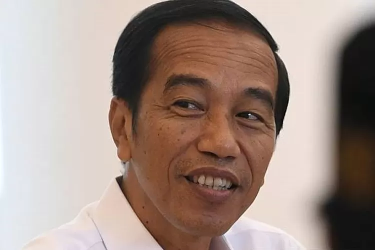Presiden Joko Widodo (Antaranews)