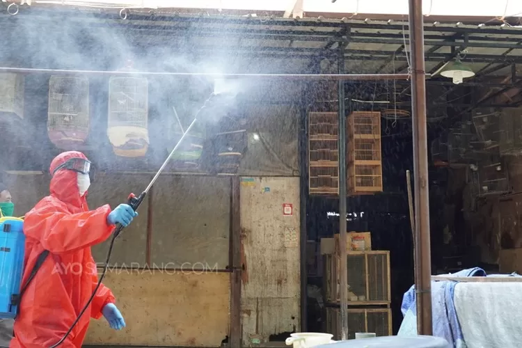 Penyemprotan disinfektan di Pasar Burung Semarang. (Ayosemarang.com/Kemmy Wijaya)