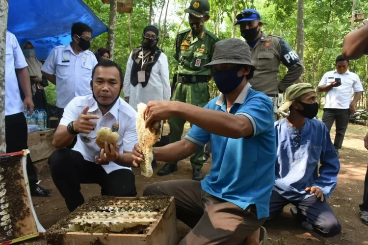 Bupati Batang bersama peternak lebah Desa Kesawung mencoba madu lebah hutan karet. (Muslihun/Kontributor Batang)
