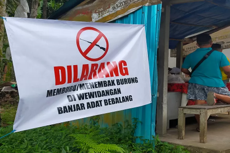 Bebalang Keluarkan Larangan Berburu Burung Bali Express