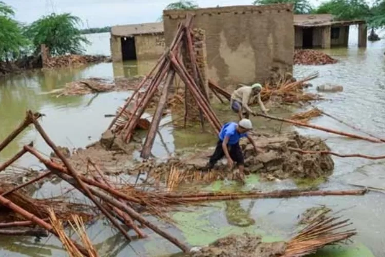 UEA Kirim Obat-obatan Hingga Bahan Tempat Tinggal Untuk Korban Banjir ...