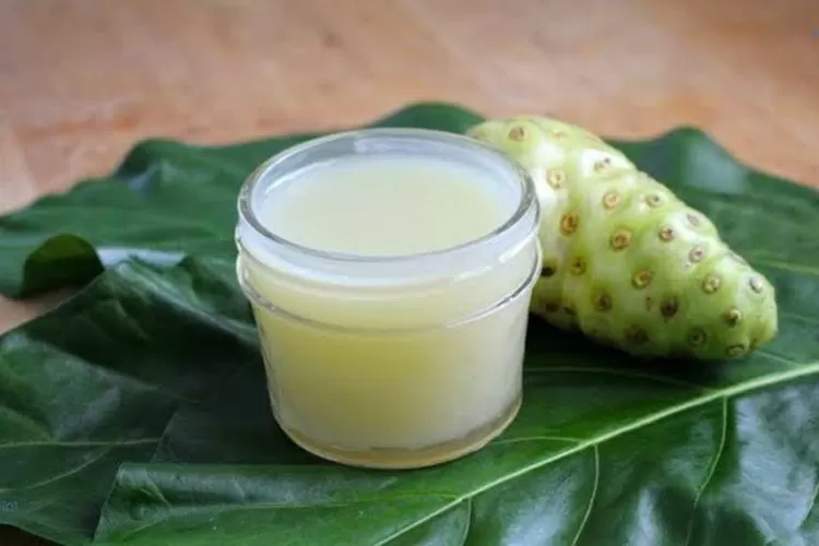 Tips membuat jus mengkudu