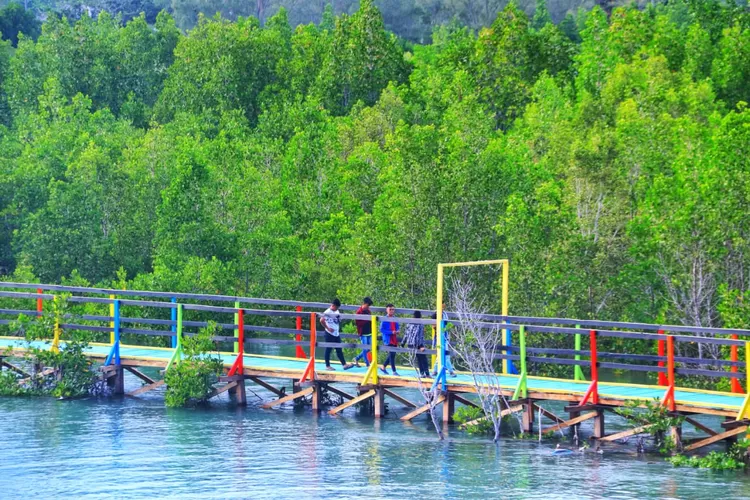 wisata manggrove pohuwato, foto : yadin/HL