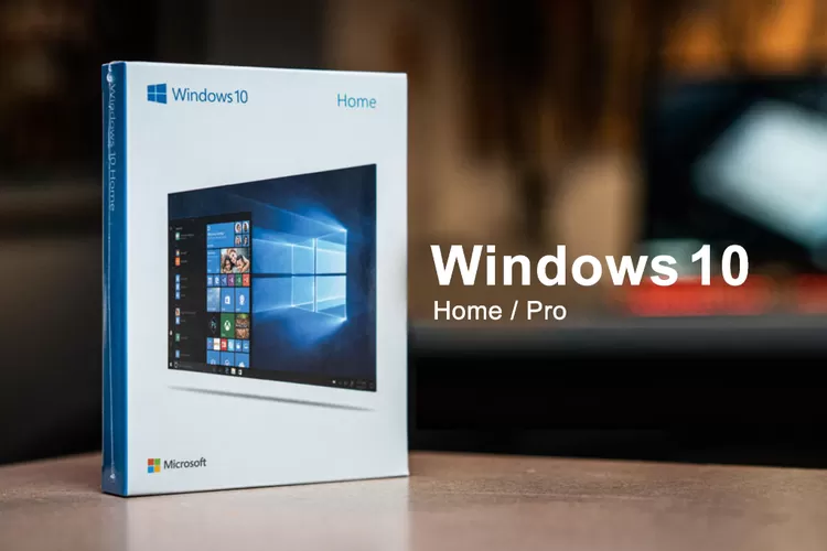 Inilah Perbedaan Windows 10 Home Dengan Pro Apa Kamu Sudah Tau Indozone Tech 1762