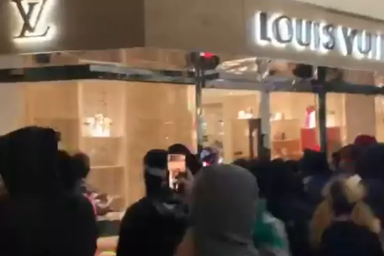 Viral Video Of Louis Vuitton Looting In Portland, Oregon
