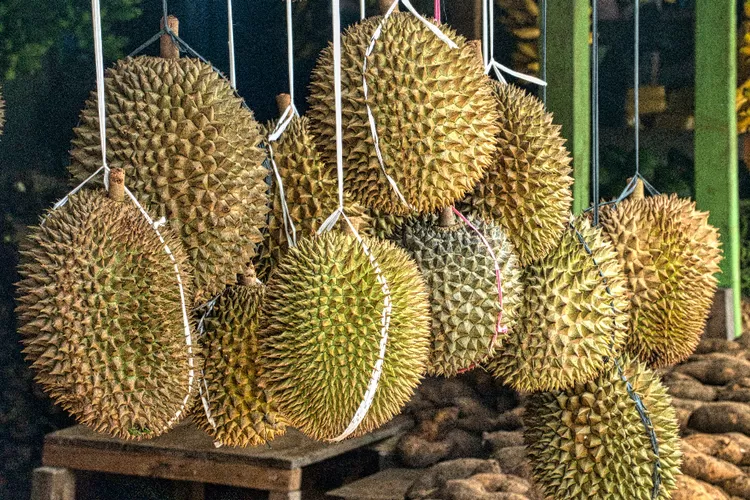 Punya Bau Yang Kuat Ini Manfaat Durian Yang Harus Kamu Ketahui