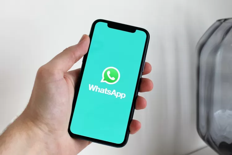 Whatsapp Bakal Punya Fitur Pesan Hilang Otomatis Indozone Tech