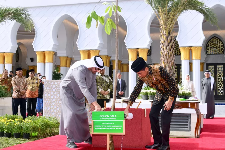 Ada Makna Tersembunyi Di Balik Pohon Sala Yang Ditanam Jokowi Di Masjid