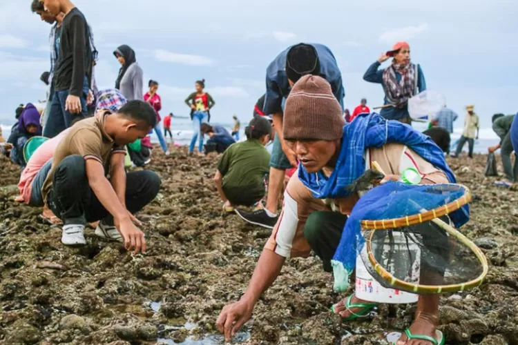 5 Tradisi Unik Di Indonesia, Dari Mekare-kare Hingga Bau Nyale ...