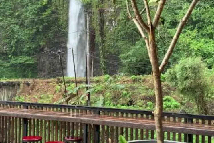 Xakapa, Tempat Sarapan Kekinian Di Hutan Cagar Alam Lembah Anai ...