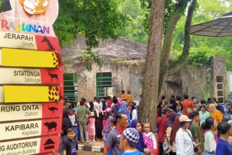 Sejarah Jakarta Asal Usul Ragunan Dari Nama Juragan Tanah Akurat Jakarta