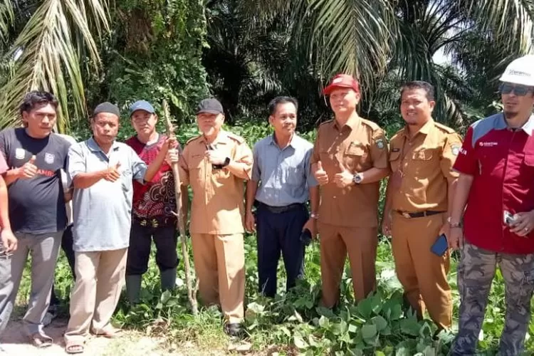 Konflik Lahan Pemda Bungo Dan Kepolisian Turun Cek Titik Koordinat Di Pt Sku Bungo Pemerintah