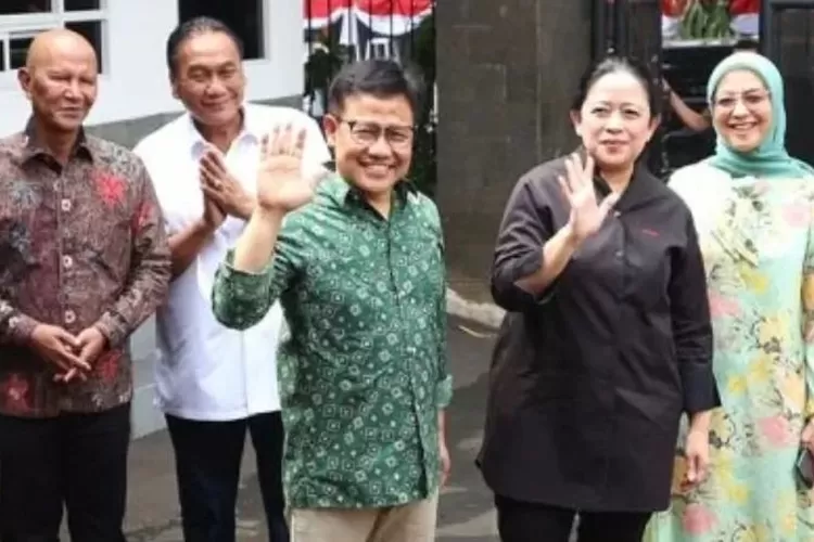 Puan Goda Pkb Agar Bisa Bangun Kerja Sama Politik Dengan Pdip Jambi One