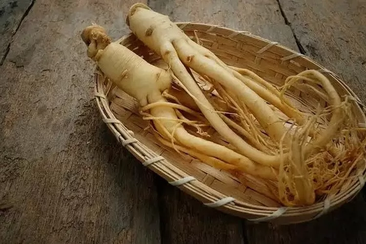 Resep Minuman Ginseng Untuk Turunkan Berat Badan Jawa Pos