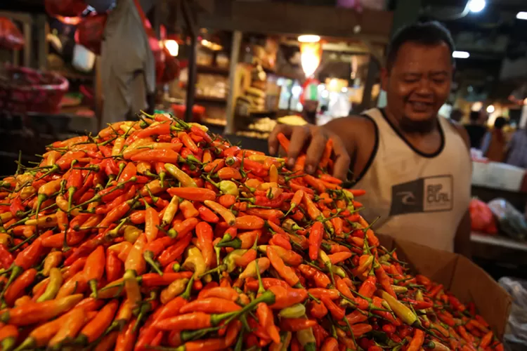 Harga Cabai Kini Makin Pedas, Capai Rp 120 Ribu Per Kilo - Jawa Pos