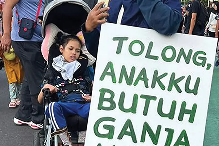 Dosis Ganja Medis Umumnya Lebih Rendah Dan Diawasi Ketat Oleh Dokter ...