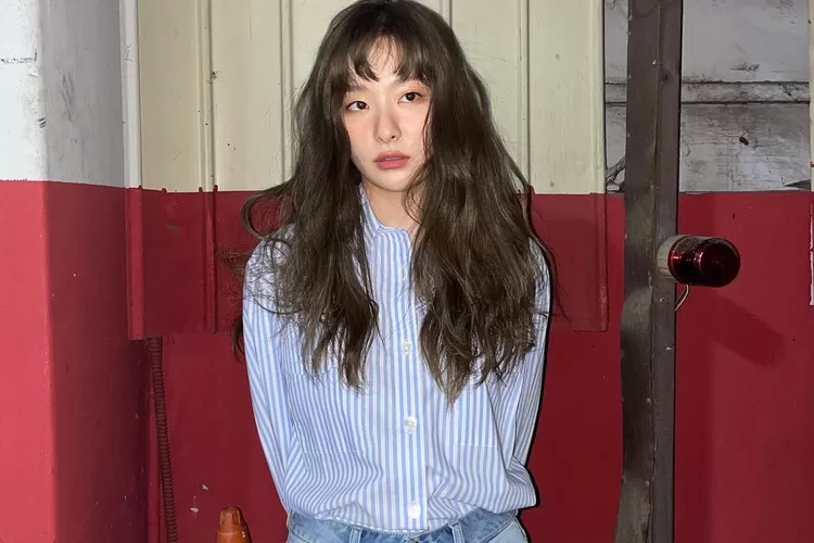 Biodata Seulgi Red Velvet Dan Fakta Terlengkap Seputar Perjalanan