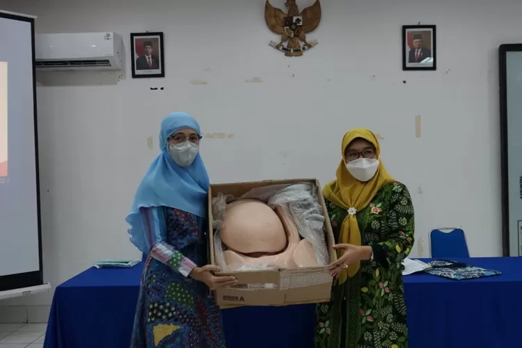 Perempuan Pasca Hamil Rentan Alami Disfungsi Dasar Panggul Krjogja