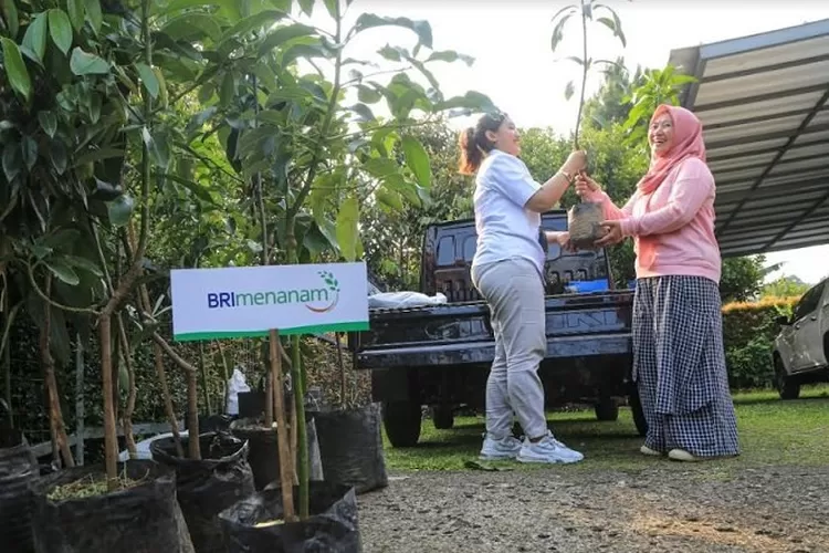 Dukung Pengurangan Emisi, BRI Targetkan Tanam 750 Ribu Bibit - Krjogja