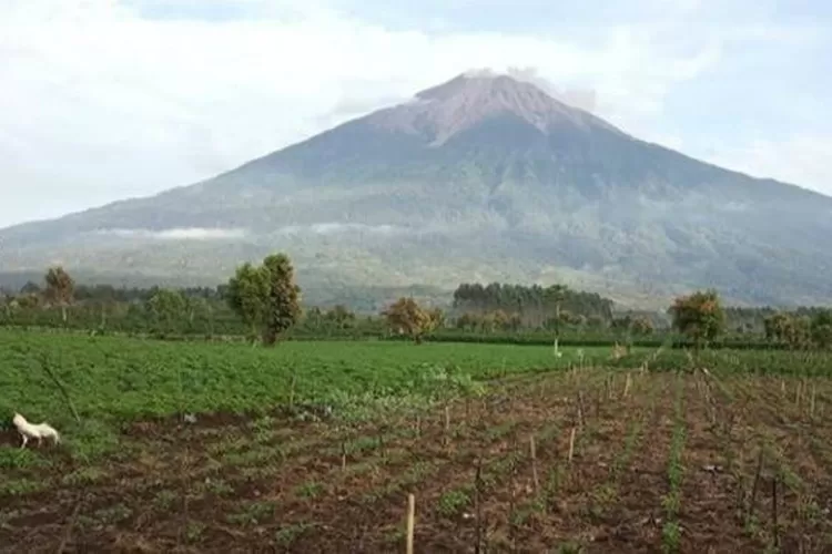 Hipotermia Sadewa Meninggal Dunia Saat Pendakian Di Gunung Slamet