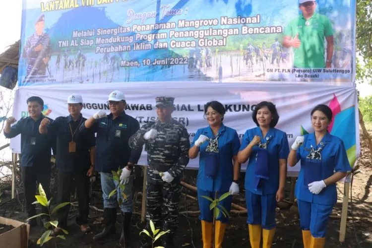 PLN UIW Suluttenggo - Lantamal VIII Manado Tanam Mangrove Peringati ...