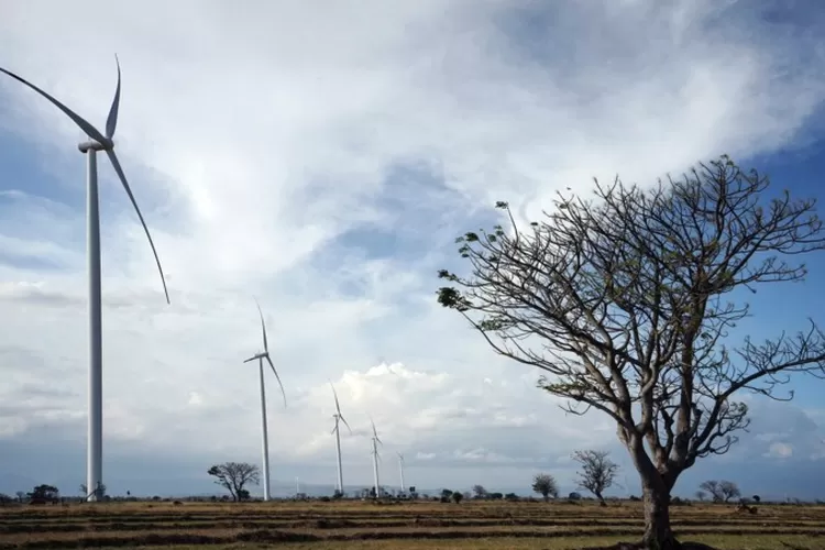 Dukung EBT, PLN Siap Kembangkan Pembangkit Bayu 597 MW Hingga 2030 ...