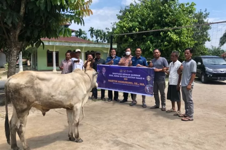 Martin Manurung Salurkan Ekor Sapi Qurban Di Dapilnya Metro Daily