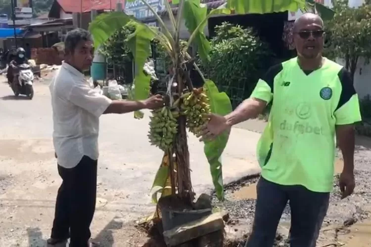 Warga Tanam Pisang Di Ruas Jalan Tugu Ikan Aek Horsik Tapteng Metro Daily