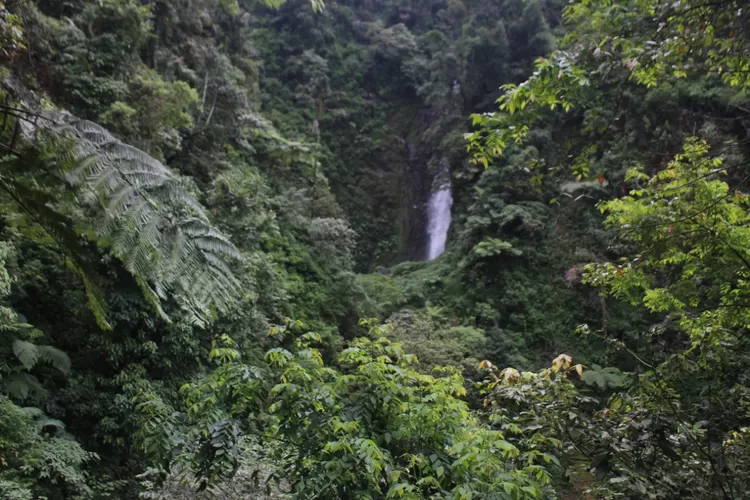 Pesona Curug Ciherang Dilengkapi Wahana Dan Penginapan Cocok Mengusir