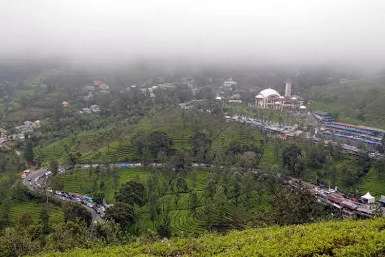 3 Jam, 11 Ribu Kendaraan Masuk Ke Puncak Bogor - Metropolitan